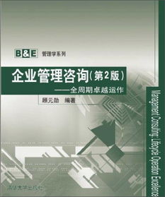 《企業(yè)管理咨詢 全周期卓越運作》（第2版）——驅(qū)動商業(yè)成功的專業(yè)引擎